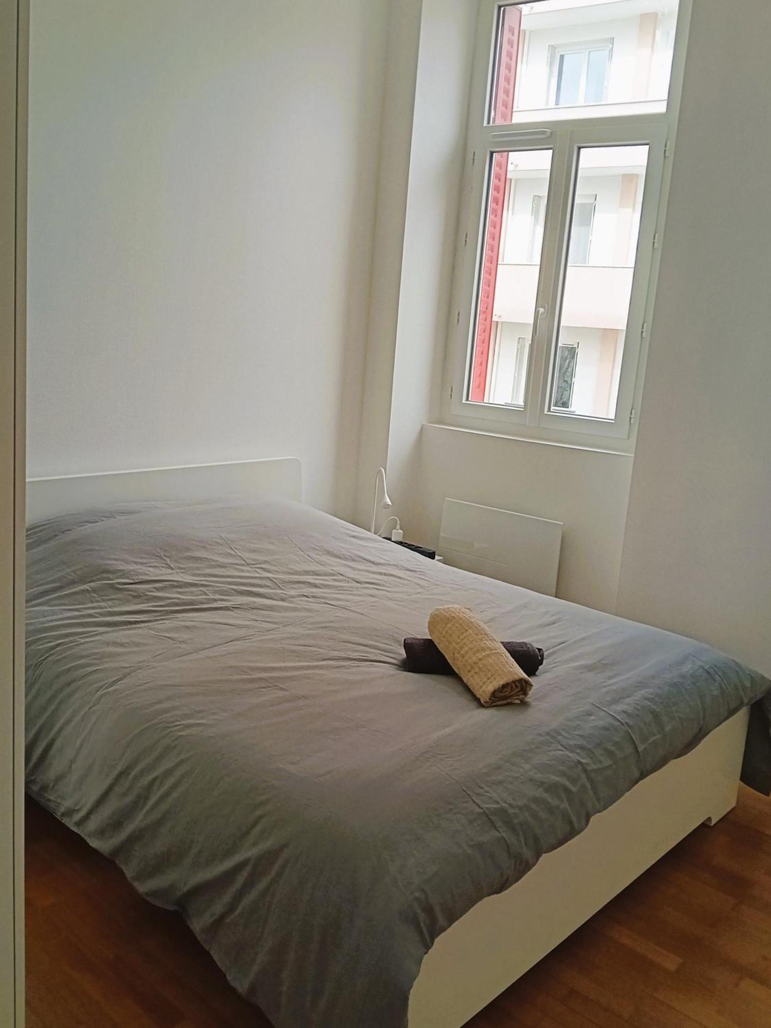 101 - Appart Renove Avec 1 Chambre Spacieuse - Tram Et Clinique Mutualiste A 1 Min Grenoble Exterior foto
